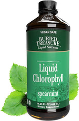 Buried Treasure Liquid Chlorophyll 100 mg Spearmint Flavor,16 oz