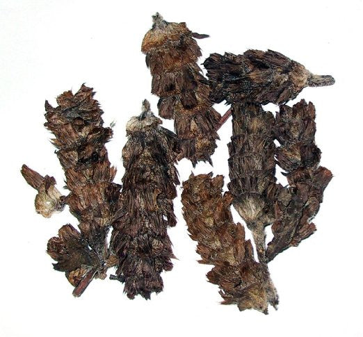 dried Xia Ku Cao (Prunella Spike) dried chinese herb 16 oz(454 g.)